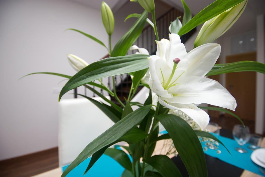 Apartment バレンシア エクステリア 写真
